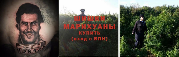 стаф Снежногорск