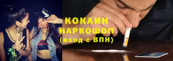 стаф Снежногорск
