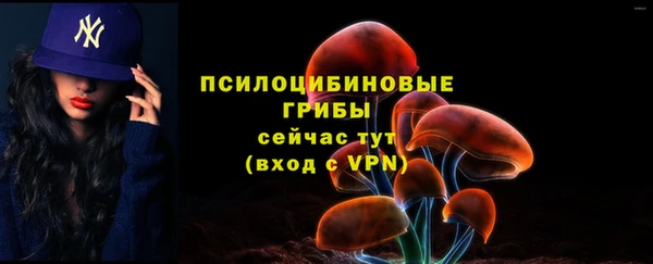 a pvp Слюдянка
