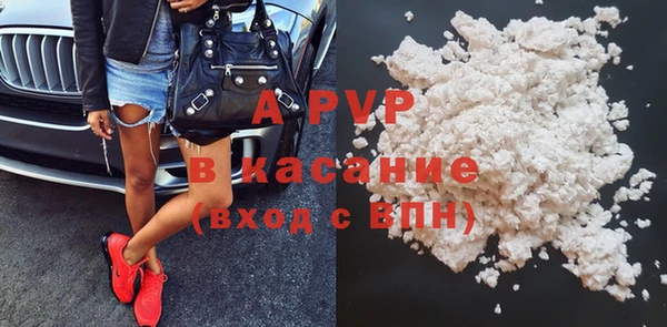 меф Снежинск