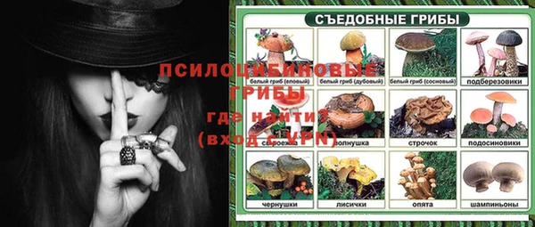 стаф Снежногорск