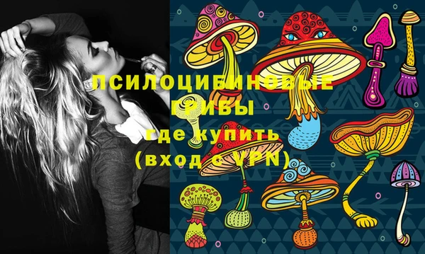 меф Снежинск