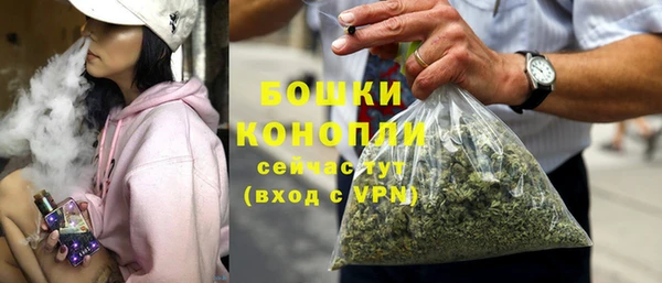 меф Снежинск