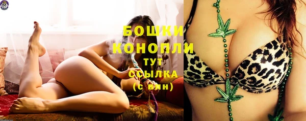 меф Снежинск