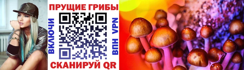 сайты даркнета Telegram Ханты-Мансийск Галлюциногенные грибы Psilocybe где купить наркоту мега вход